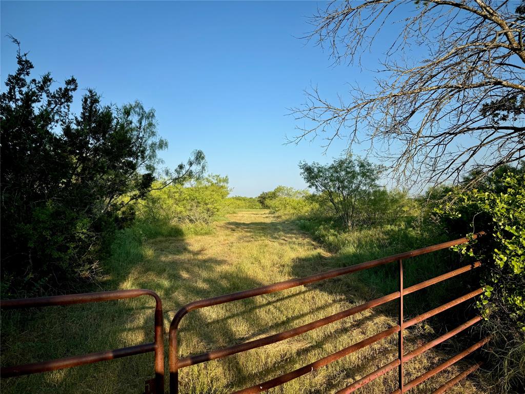 10600 County Road 1240 Property Photo 1