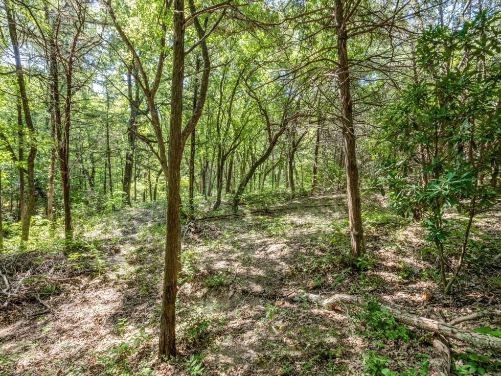 1708 Baker Ridge Road Property Photo 22