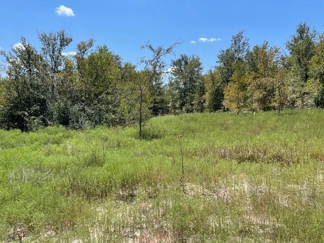 109 Grant Alan Court Property Photo 4