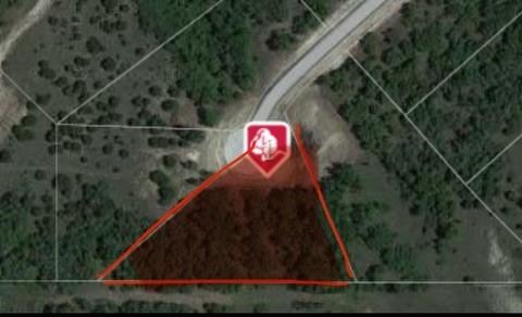 109 Grant Alan Court Property Photo 7