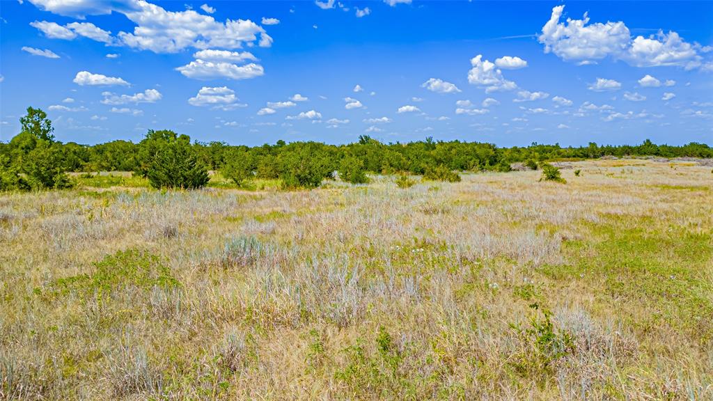 Tbd County Road 531 Property Photo 16