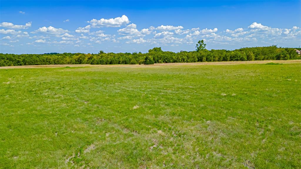 Tbd County Road 531 Property Photo 19