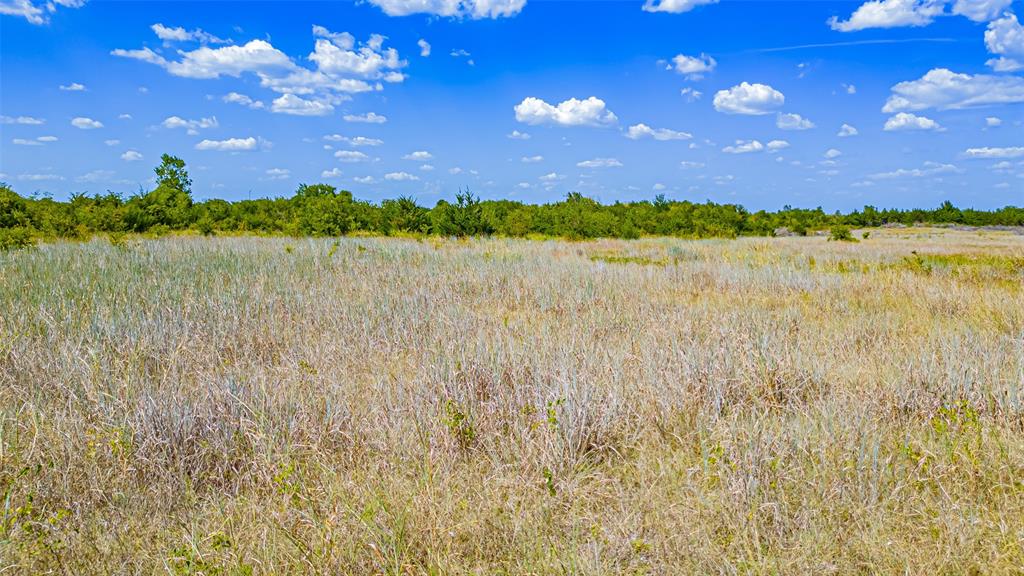 Tbd County Road 531 Property Photo 20