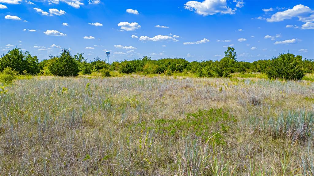Tbd County Road 531 Property Photo 21