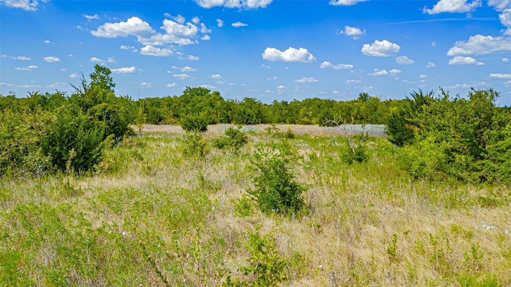 Tbd County Road 531 Property Photo 22