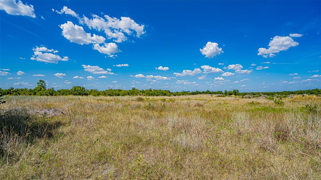 Tbd County Road 531 Property Photo 23