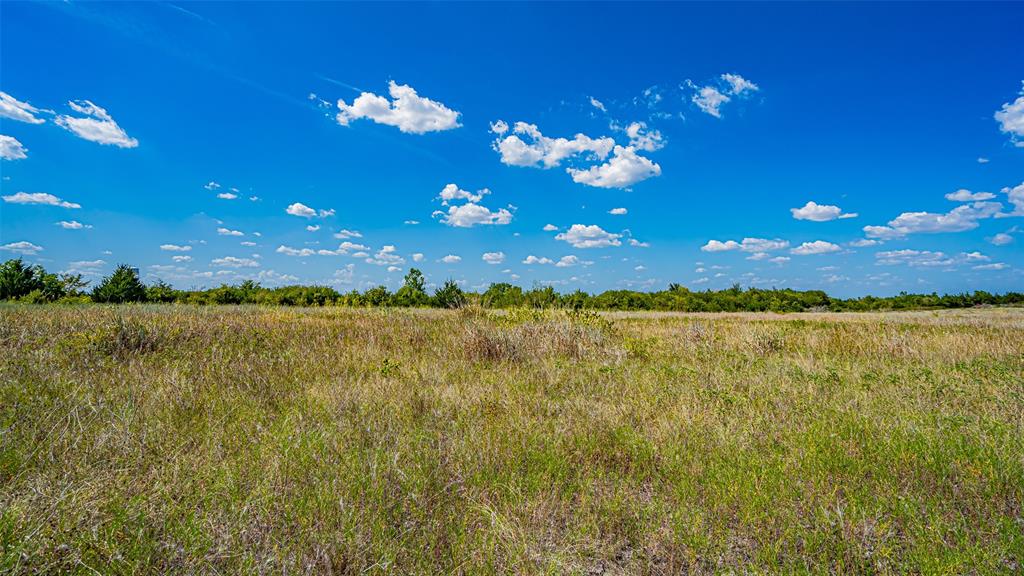 Tbd County Road 531 Property Photo 24
