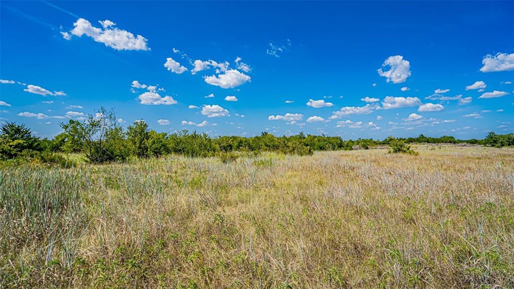 Tbd County Road 531 Property Photo 27