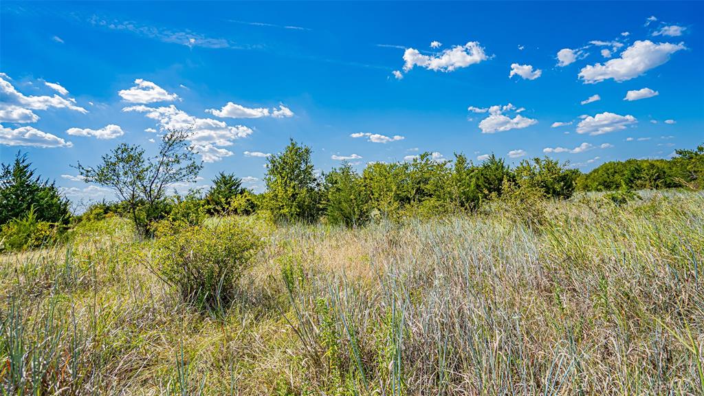 Tbd County Road 531 Property Photo 28