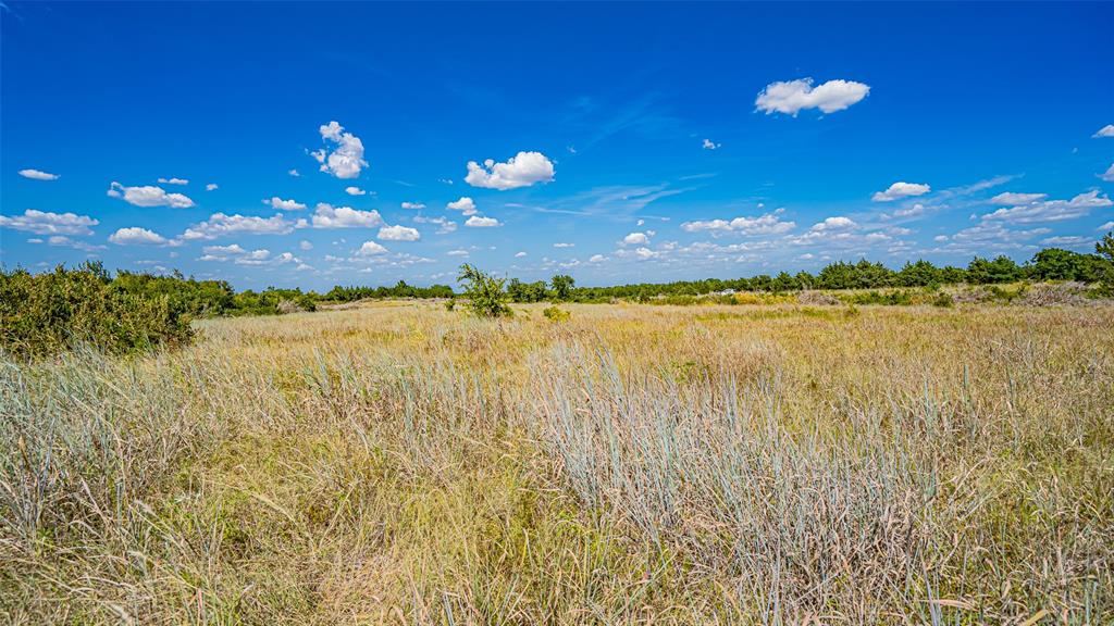 Tbd County Road 531 Property Photo 29