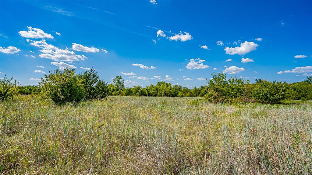 Tbd County Road 531 Property Photo 30
