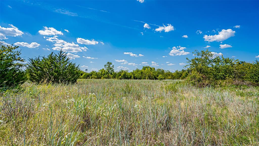 Tbd County Road 531 Property Photo 31