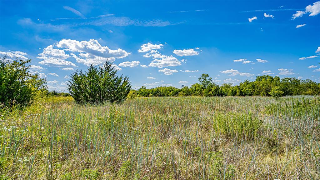 Tbd County Road 531 Property Photo 34