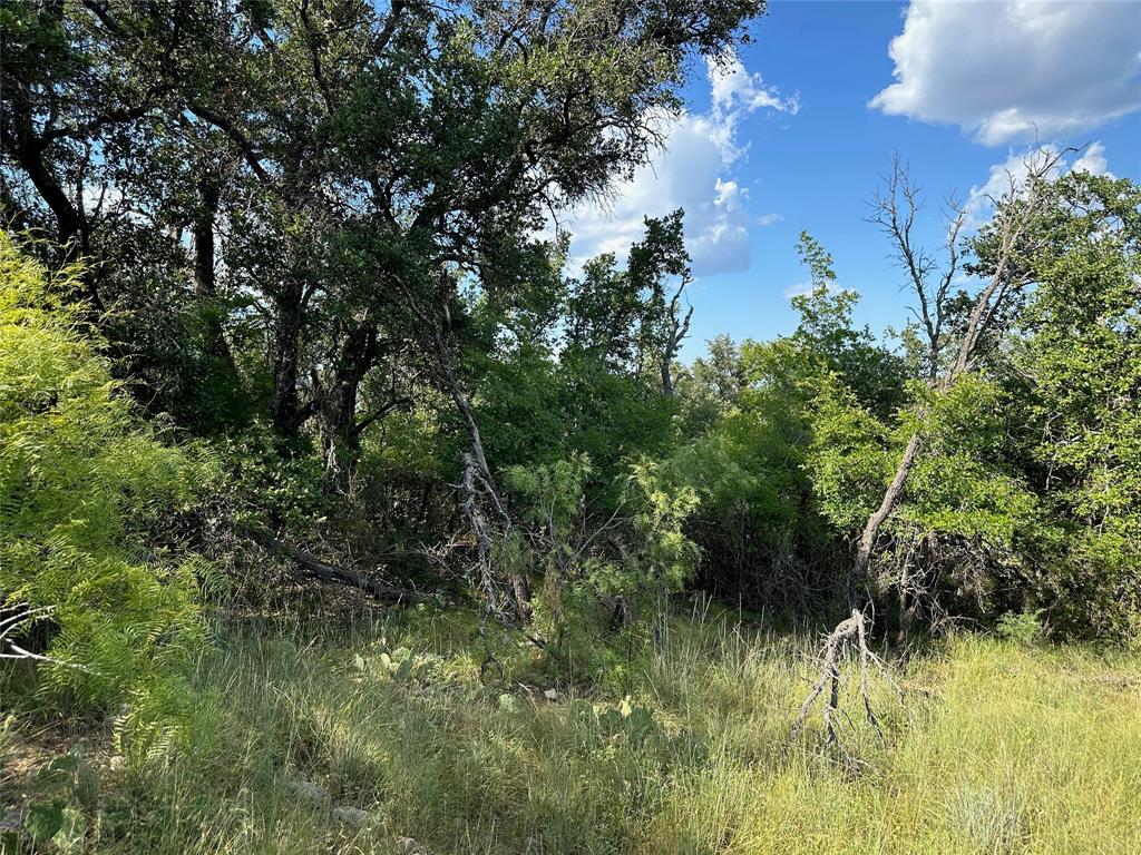 188 Fm 2632 Property Photo 5