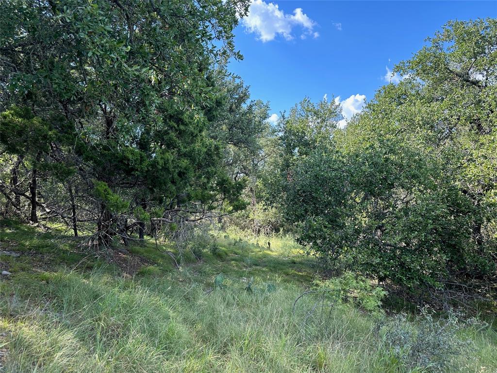 188 Fm 2632 Property Photo 7