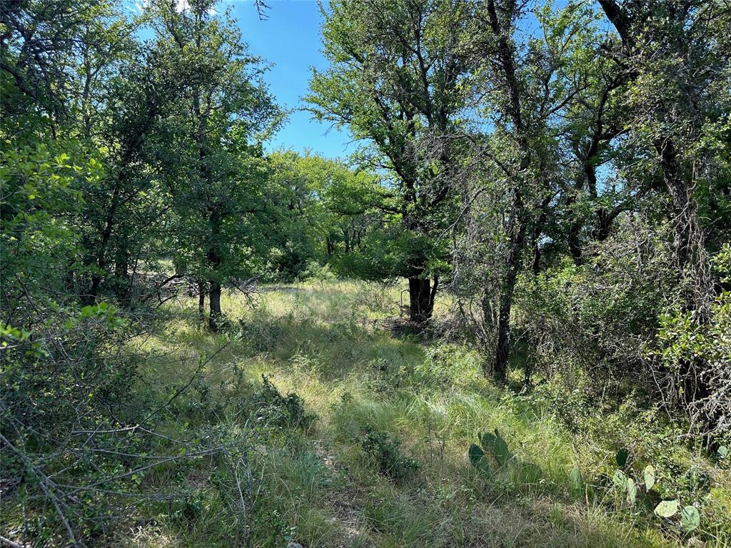 188 Fm 2632 Property Photo 9