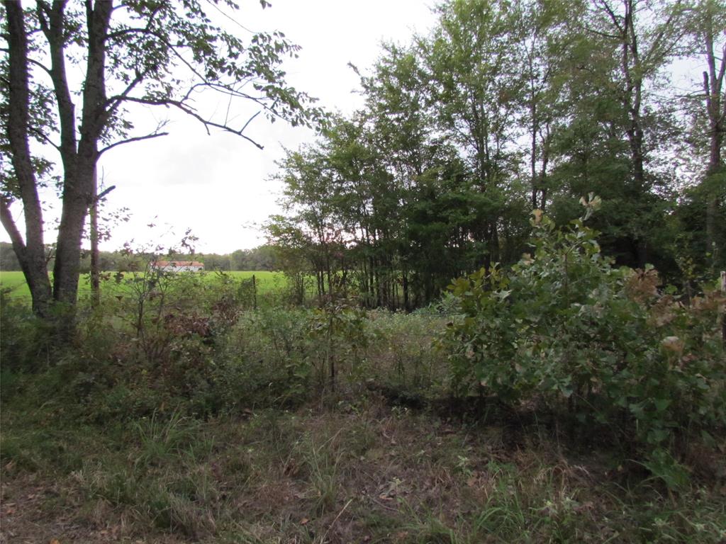 Tbd Vzcr 1924 Property Photo