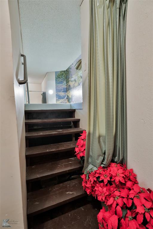 135 Shelton Street Property Photo 12