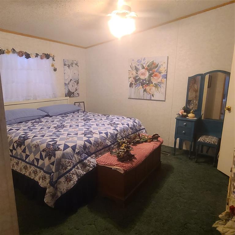 1825 County Road 279 Property Photo 5