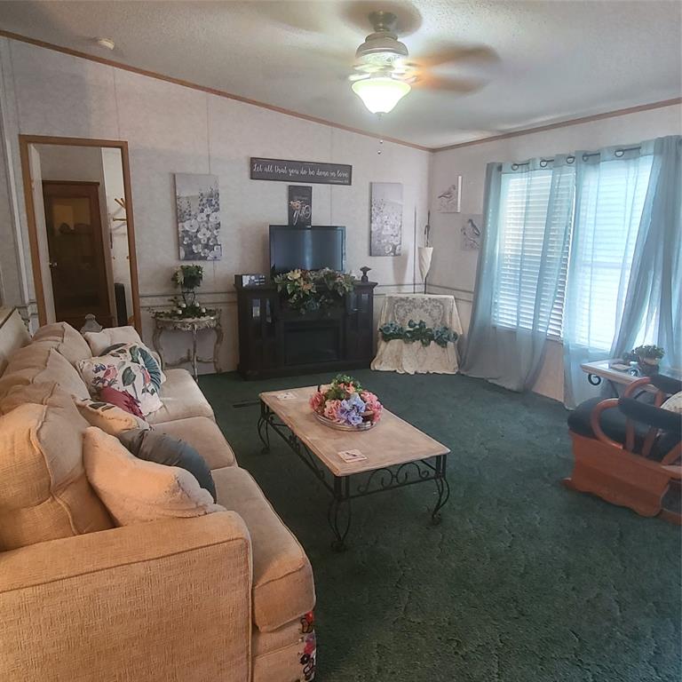 1825 County Road 279 Property Photo 8