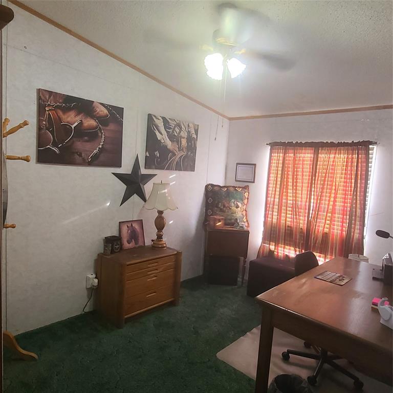 1825 County Road 279 Property Photo 9