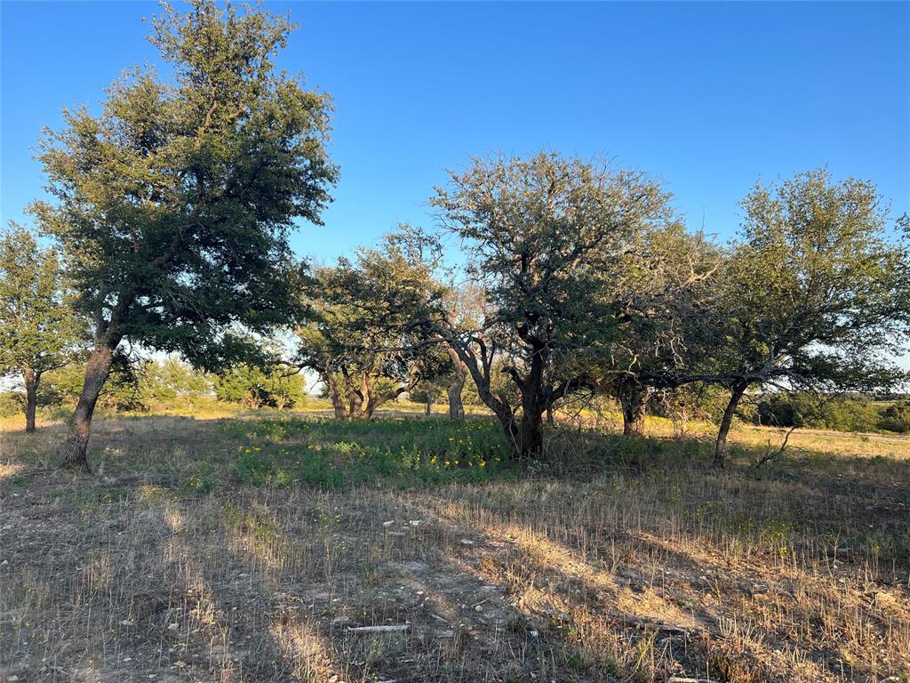 Tbd Bellenger Property Photo 1