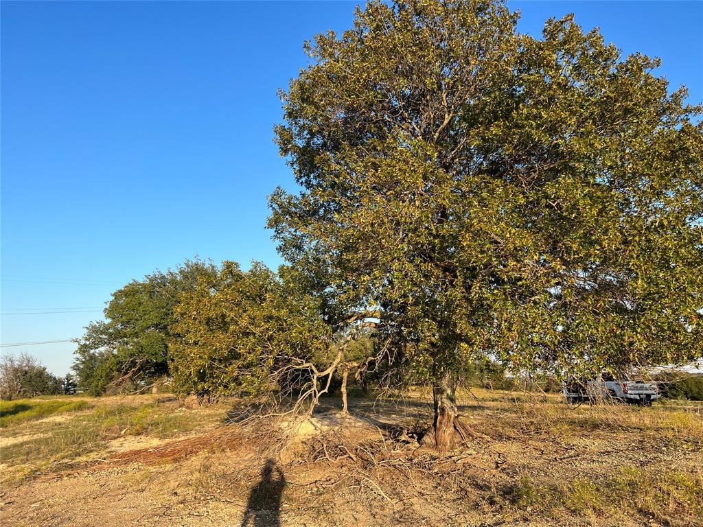 Tbd Bellenger Property Photo 28