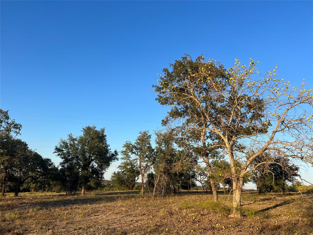 Tbd Bellenger Property Photo 39