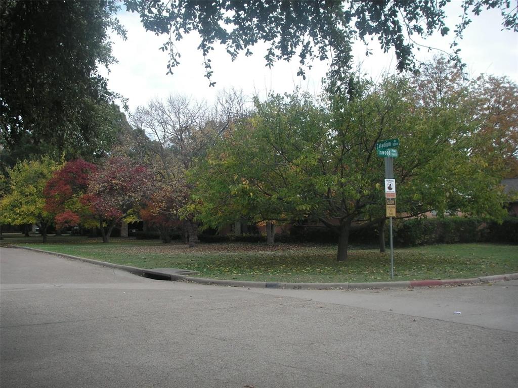5208 Caladium Drive Property Photo 3