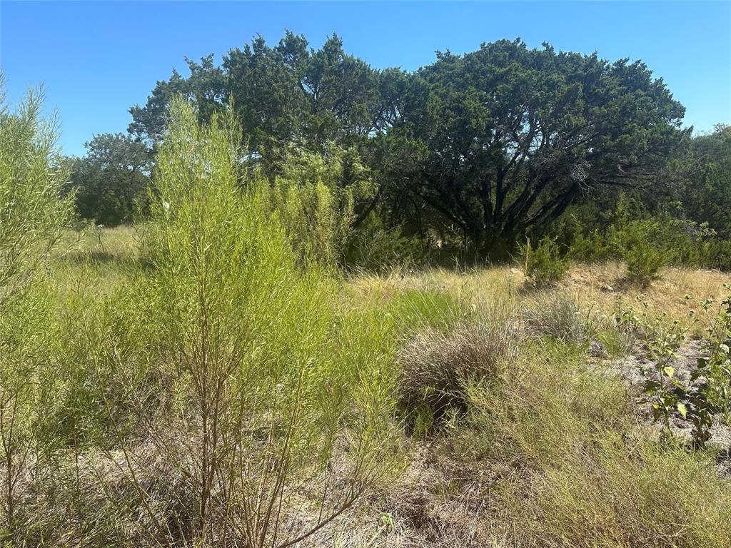 Lot 759r Sawtooth Mountain Road Property Photo 3