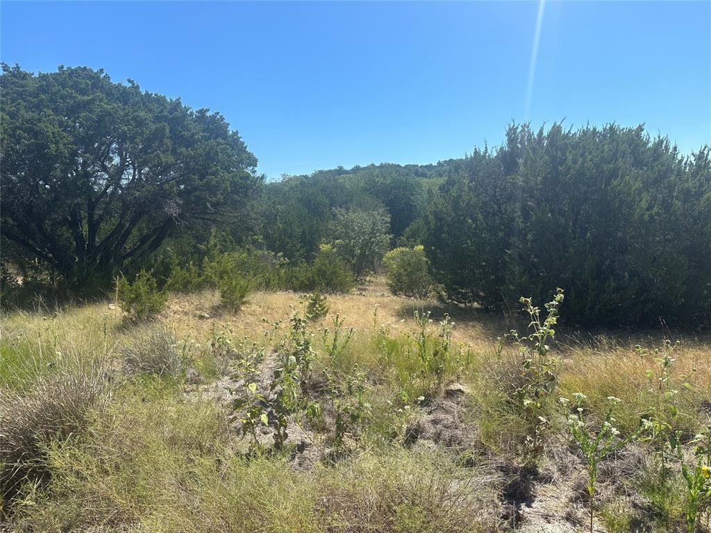 Lot 759r Sawtooth Mountain Road Property Photo 4