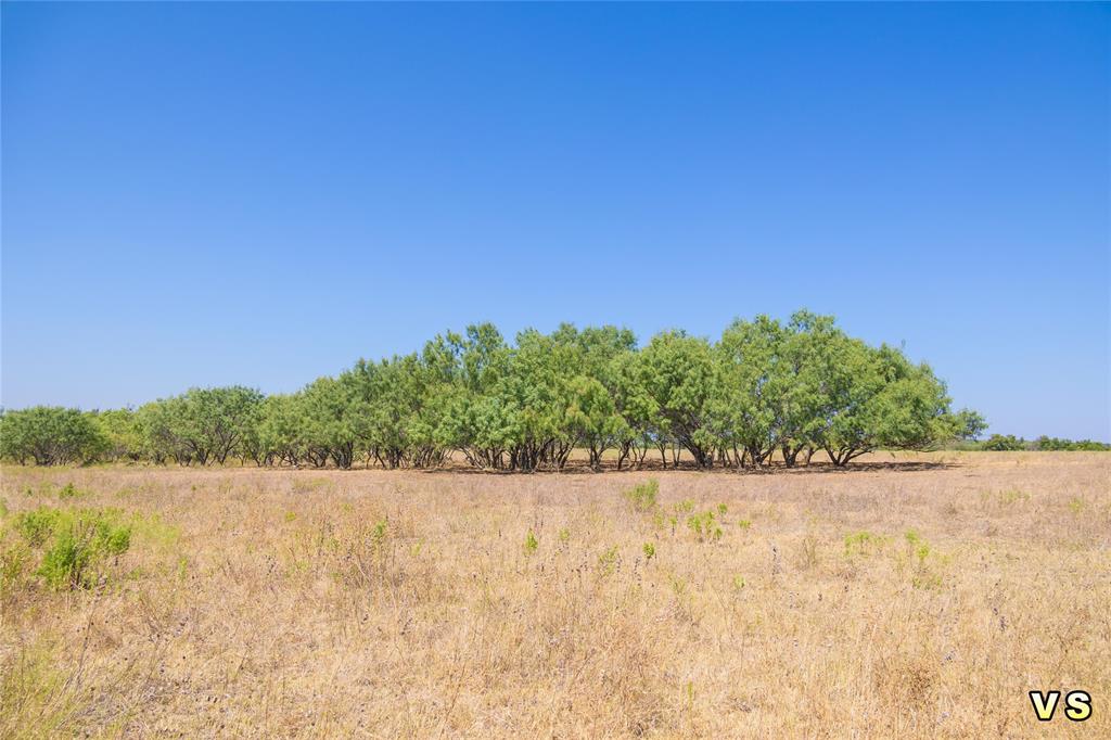 Lot 1 8288 County Road 329 Property Photo 27