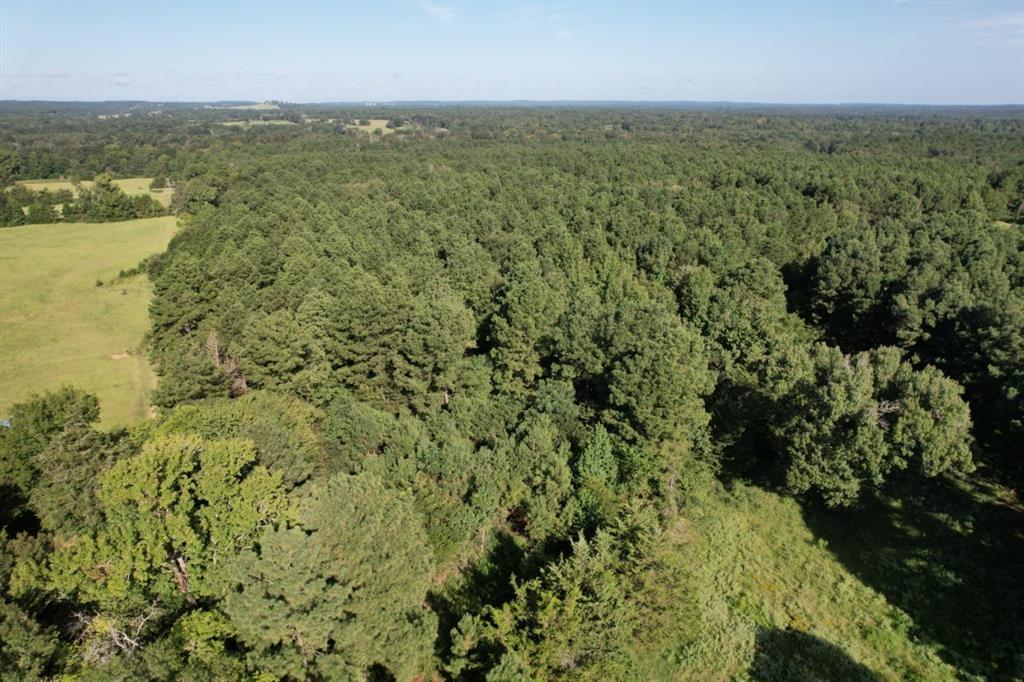 Tbd County Road 168-1 Property Photo 13