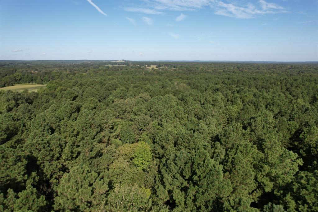 Tbd County Road 168-1 Property Photo 14