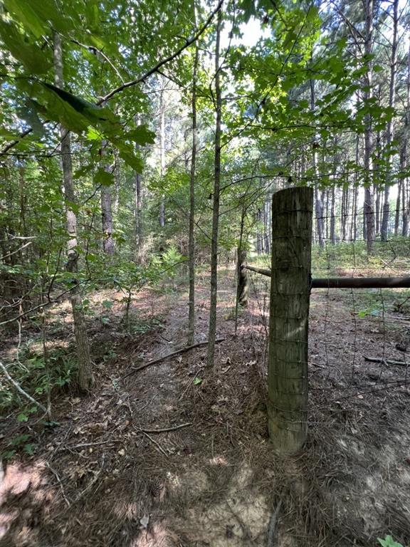 Tbd County Road 168-1 Property Photo 25