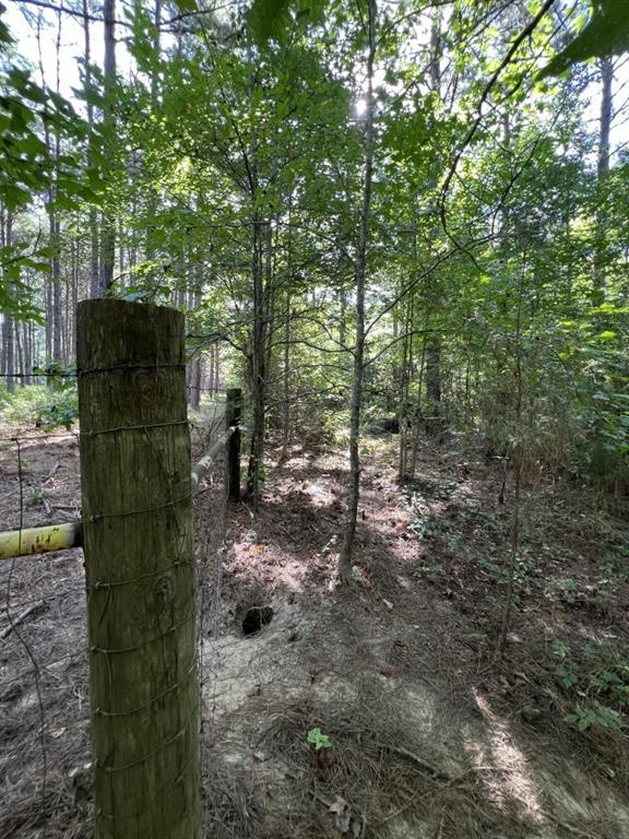 Tbd County Road 168-1 Property Photo 26