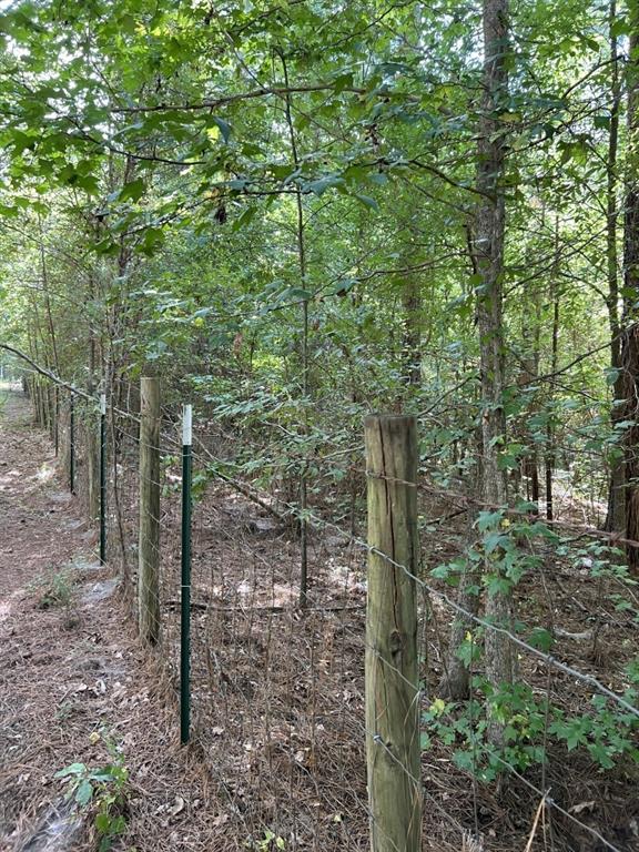 Tbd County Road 168-1 Property Photo 29
