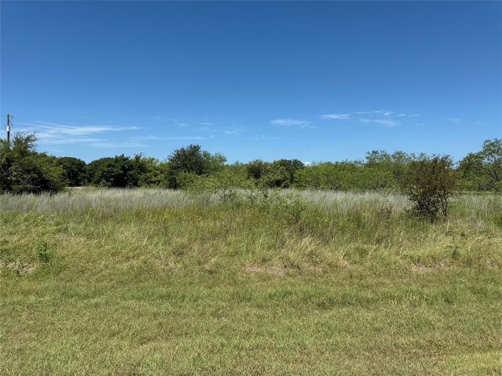 24163 Springwood Lane Property Photo 1
