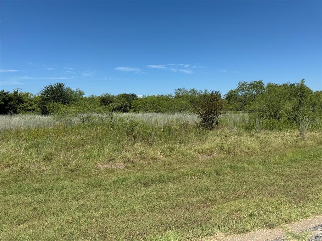24163 Springwood Lane Property Photo 3