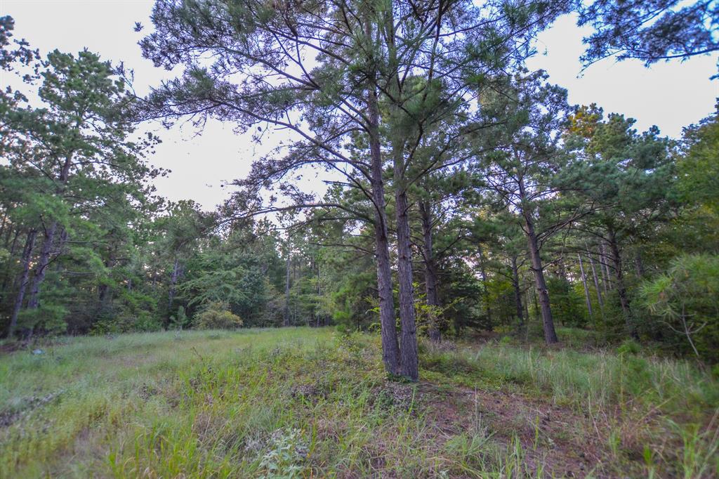 Tract 2 Hwy 155 Property Photo 13