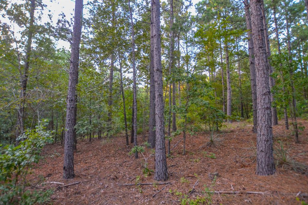 Tract 2 Hwy 155 Property Photo 15