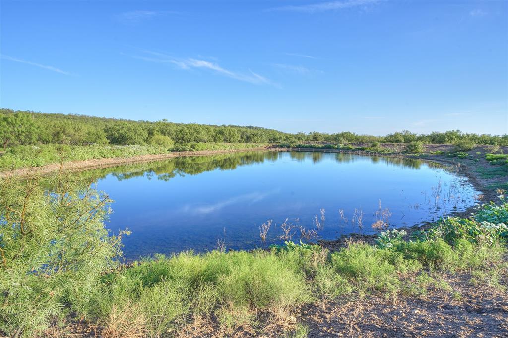 Tbd Farm To Market 1026 Property Photo 4