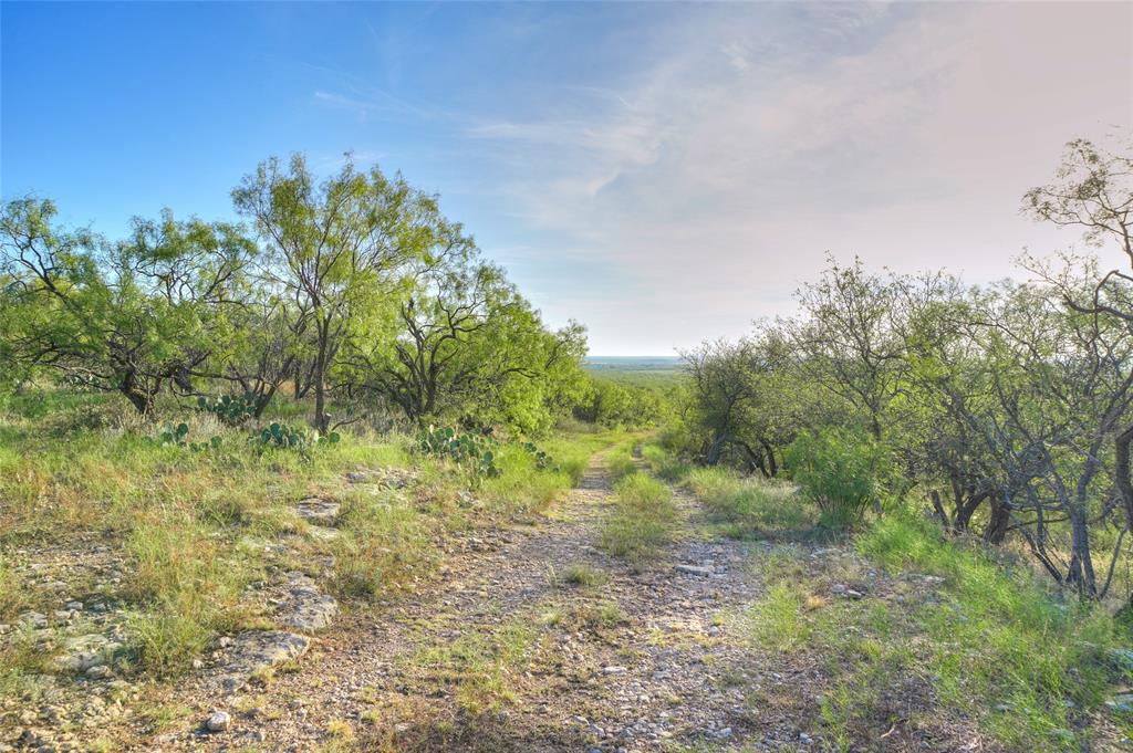 Tbd Farm To Market 1026 Property Photo 9