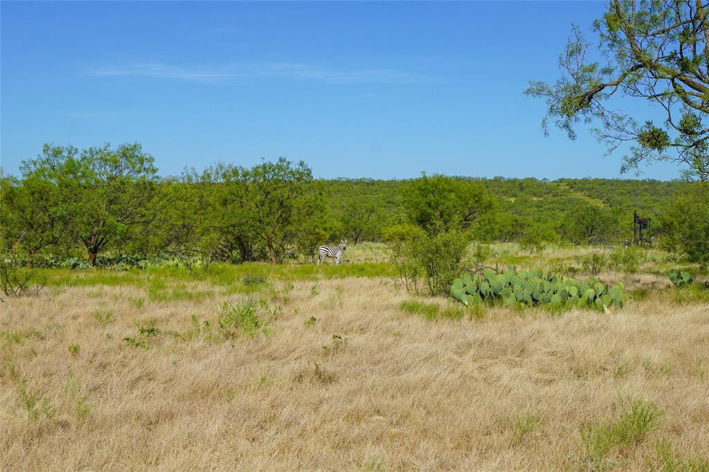 Tbd Farm To Market 1026 Property Photo 28