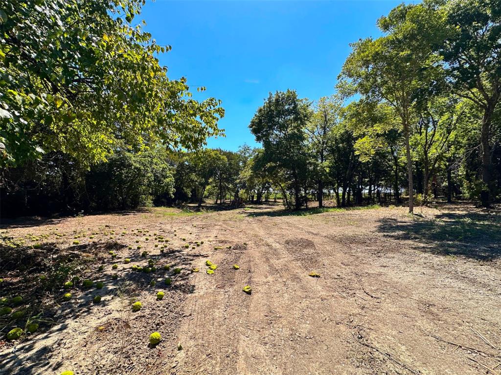 8030 County Road 528 Property Photo 16
