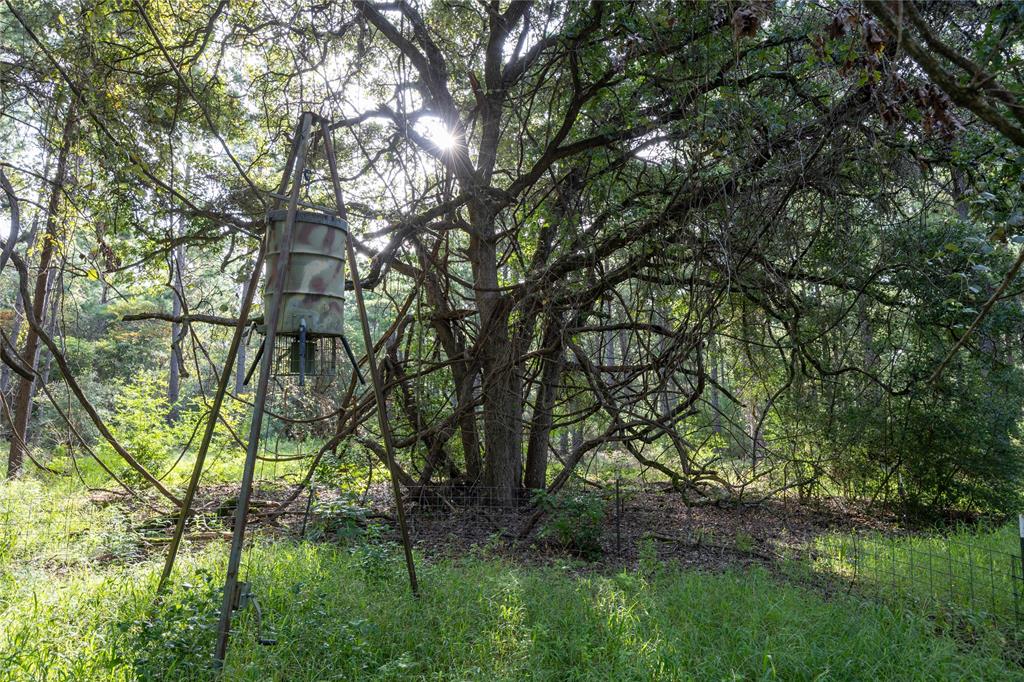 Tract 5 Hwy 155 Property Photo 9