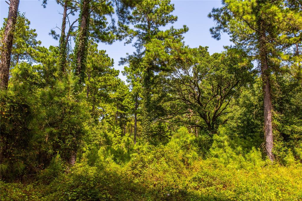 Tract 7 County Road 4221 Property Photo 3