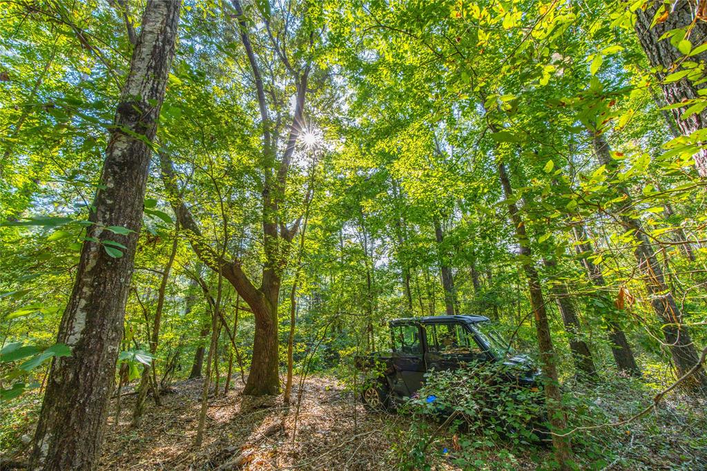 Tract 7 County Road 4221 Property Photo 15