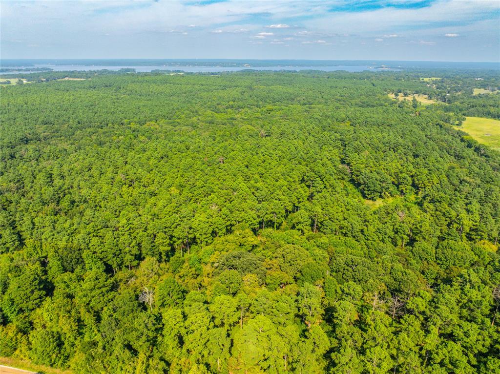 Tract 7 County Road 4221 Property Photo 27