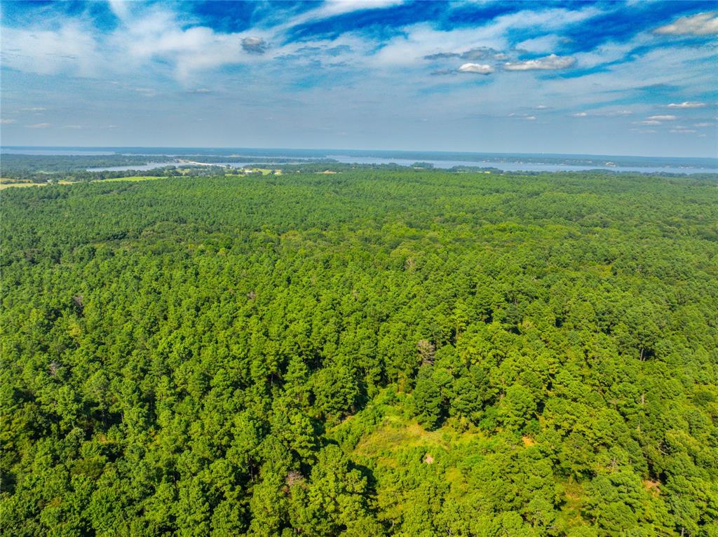 Tract 7 County Road 4221 Property Photo 28
